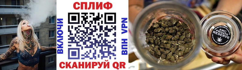 Бошки Шишки гибрид  Купить  Дно 